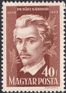 Brown Portrait