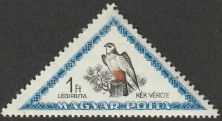 Red-footed Falcon (Falco vespertinus)