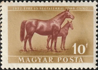 Mare and Foal
