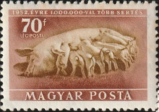 Sow and Piglets