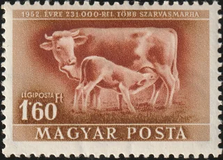Cow and Calf