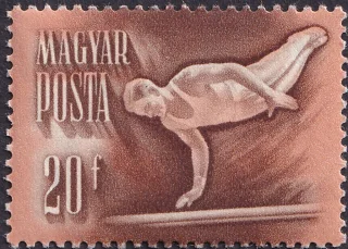 Male Gymnast