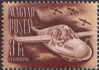 “Koma” Glider