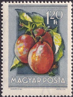 Plum