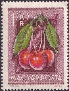 Cherry