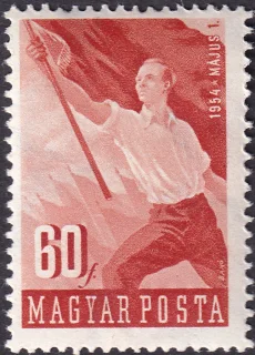 Young Man Holding a Flag