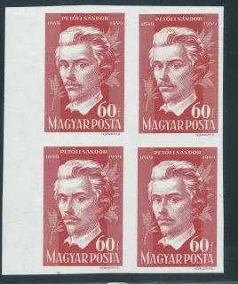 Vágott