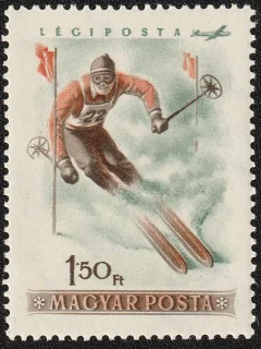 Downhill Skier