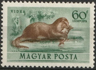 Vidra