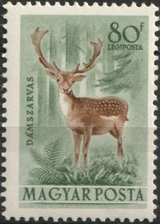 Dámszarvas