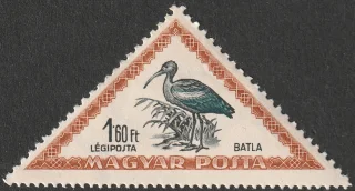 Batla (Plegadis falcinellus)