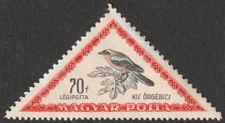 Kis őrgébics (Lanius minor)