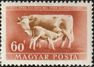 Tehén és borjú
