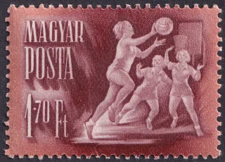 Női kosárlabdázók