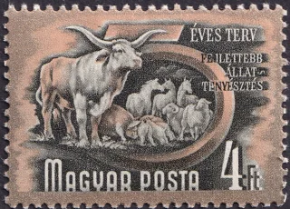 Állattenyésztés