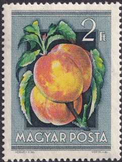 Őszibarack