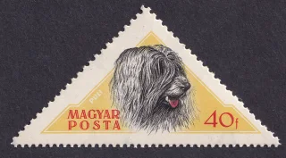 Puli