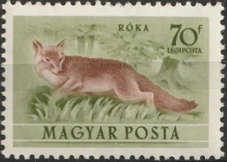 Róka