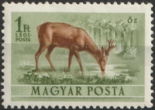 Őz