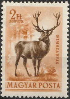 Gímszarvas
