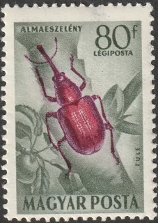 Almaeszlény
