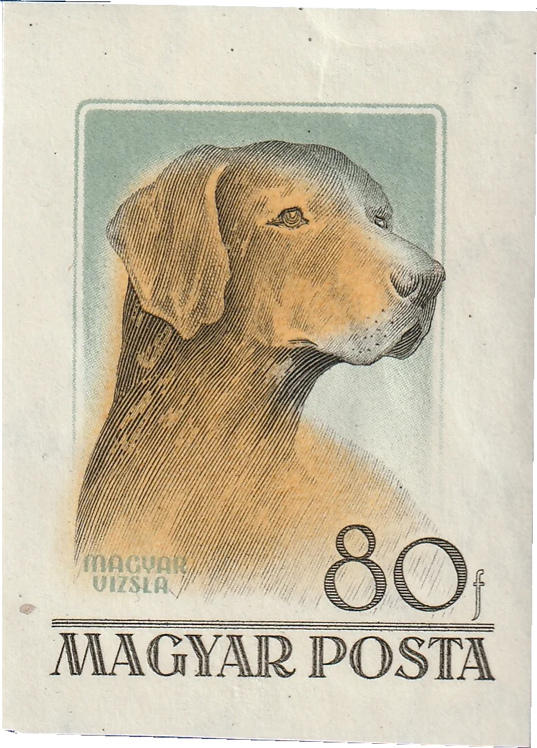 Vágott